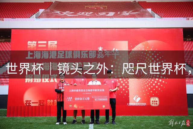 世界杯｜镜头之外：咫尺世界杯，天涯看台票