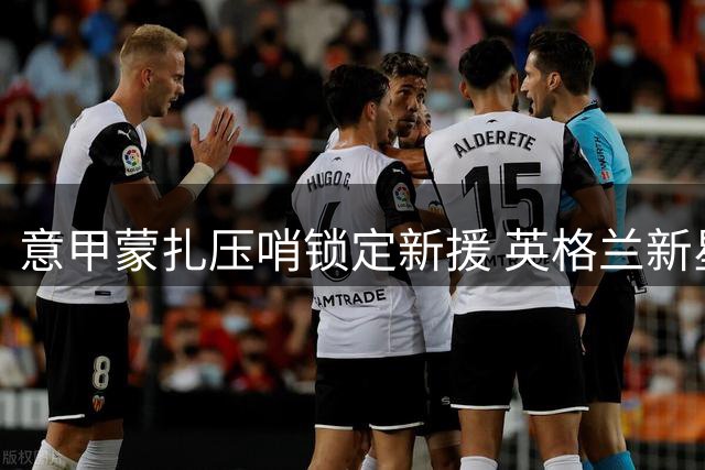 意甲蒙扎压哨锁定新援 英格兰新星罗宾逊租借加盟无买断条款