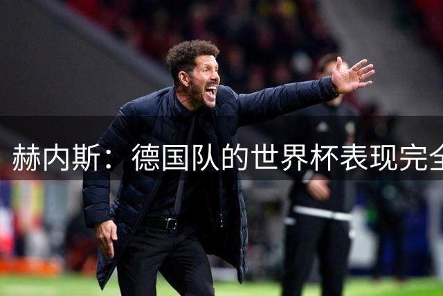赫内斯：德国队的世界杯表现完全是灾难，雷蒂格无法胜任工作